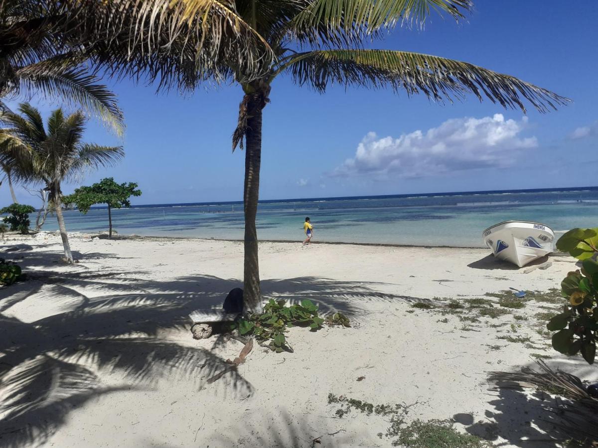 Palmeras de Mahahual Cabañas Exterior foto