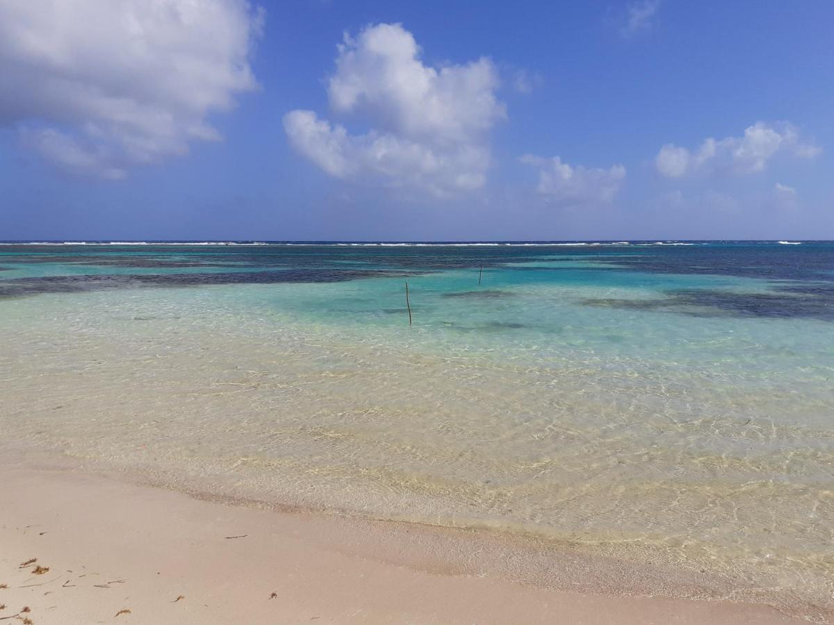 Palmeras de Mahahual Cabañas Exterior foto